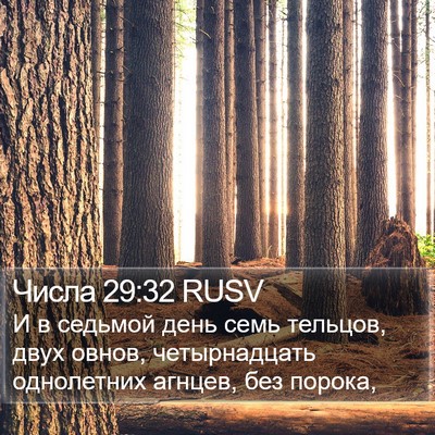 Числа 29:32 RUSV Bible Verse Image