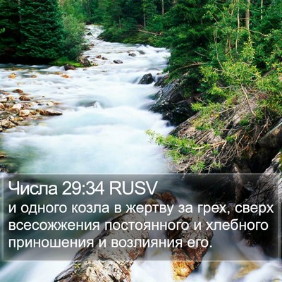 Числа 29:34 RUSV Bible Verse Image