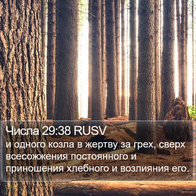 Числа 29:38 RUSV Bible Verse Image
