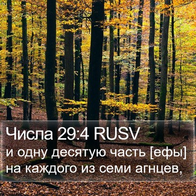 Числа 29:4 RUSV Bible Verse Image