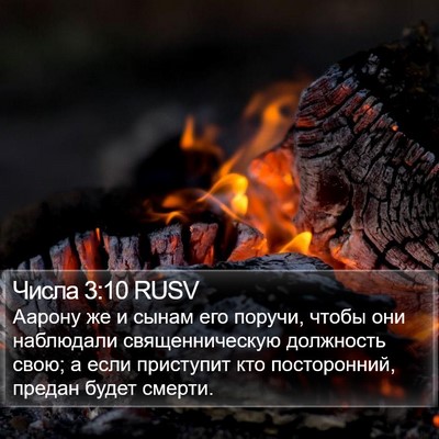 Числа 3:10 RUSV Bible Verse Image