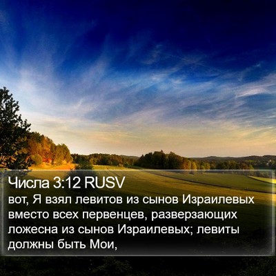 Числа 3:12 RUSV Bible Verse Image