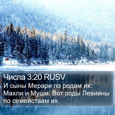 Числа 3:20 RUSV Bible Verse Image