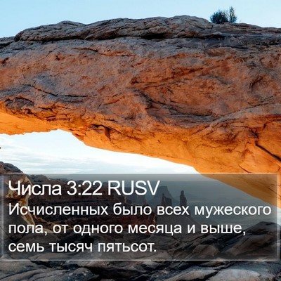 Числа 3:22 RUSV Bible Verse Image