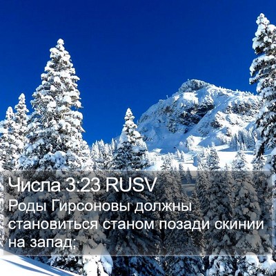 Числа 3:23 RUSV Bible Verse Image
