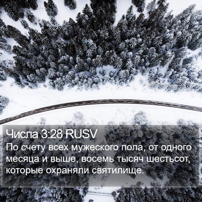 Числа 3:28 RUSV Bible Verse Image