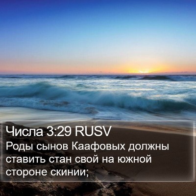 Числа 3:29 RUSV Bible Verse Image