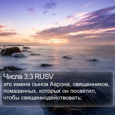 Числа 3:3 RUSV Bible Verse Image