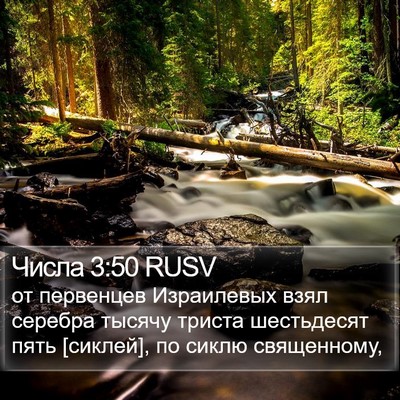 Числа 3:50 RUSV Bible Verse Image