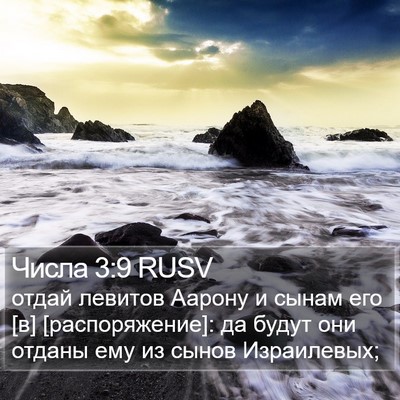 Числа 3:9 RUSV Bible Verse Image