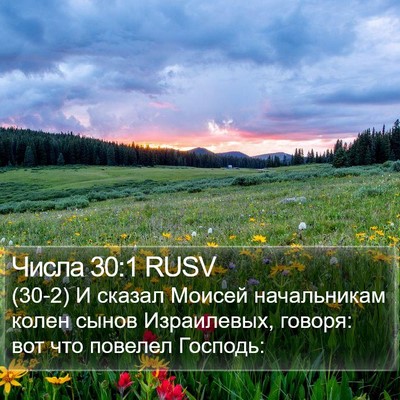 Числа 30:1 RUSV Bible Verse Image