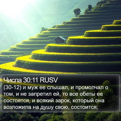 Числа 30:11 RUSV Bible Verse Image