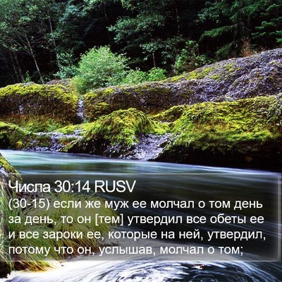 Числа 30:14 RUSV Bible Verse Image