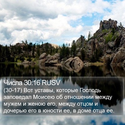 Числа 30:16 RUSV Bible Verse Image