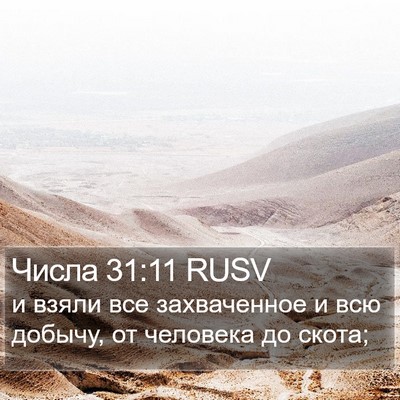 Числа 31:11 RUSV Bible Verse Image