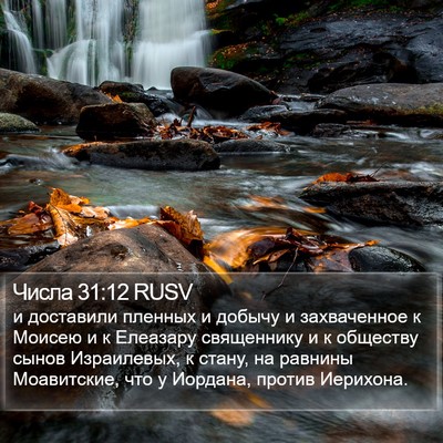 Числа 31:12 RUSV Bible Verse Image