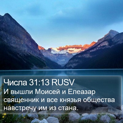 Числа 31:13 RUSV Bible Verse Image