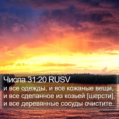 Числа 31:20 RUSV Bible Verse Image