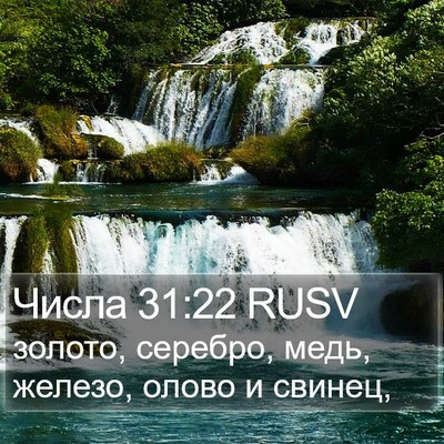 Числа 31:22 RUSV Bible Verse Image