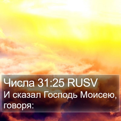 Числа 31:25 RUSV Bible Verse Image