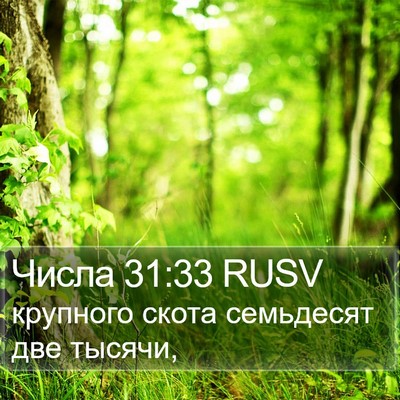 Числа 31:33 RUSV Bible Verse Image