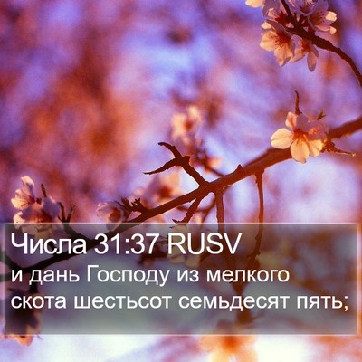 Числа 31:37 RUSV Bible Verse Image