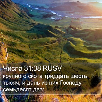 Числа 31:38 RUSV Bible Verse Image