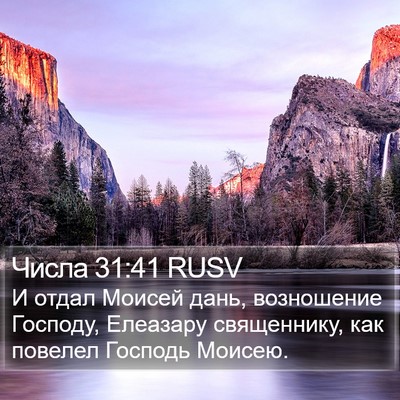 Числа 31:41 RUSV Bible Verse Image