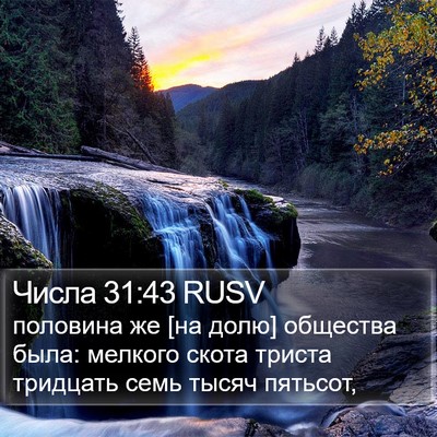 Числа 31:43 RUSV Bible Verse Image