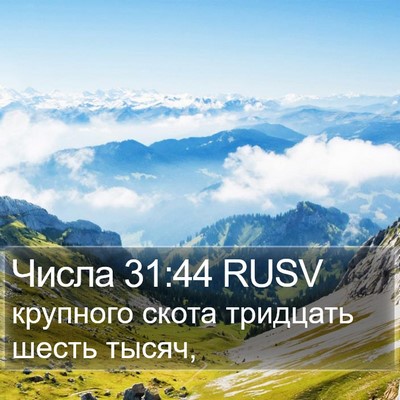 Числа 31:44 RUSV Bible Verse Image