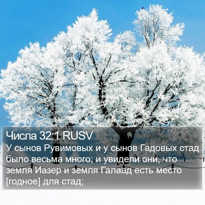 Числа 32:1 RUSV Bible Verse Image