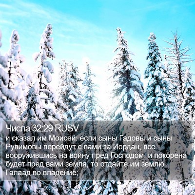 Числа 32:29 RUSV Bible Verse Image