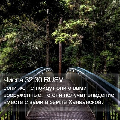Числа 32:30 RUSV Bible Verse Image
