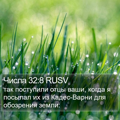 Числа 32:8 RUSV Bible Verse Image