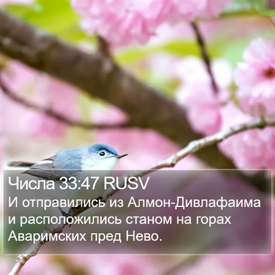 Числа 33:47 RUSV Bible Verse Image