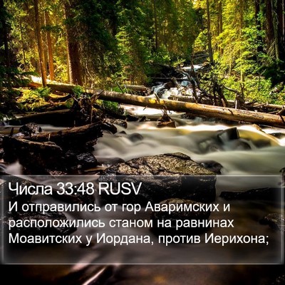Числа 33:48 RUSV Bible Verse Image