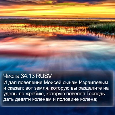 Числа 34:13 RUSV Bible Verse Image