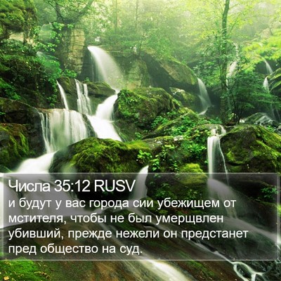 Числа 35:12 RUSV Bible Verse Image