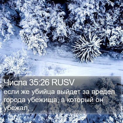 Числа 35:26 RUSV Bible Verse Image