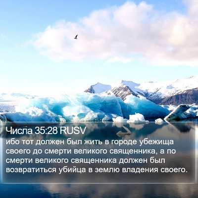 Числа 35:28 RUSV Bible Verse Image