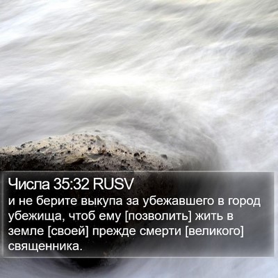 Числа 35:32 RUSV Bible Verse Image