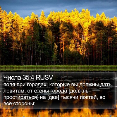 Числа 35:4 RUSV Bible Verse Image