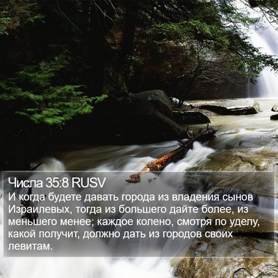 Числа 35:8 RUSV Bible Verse Image