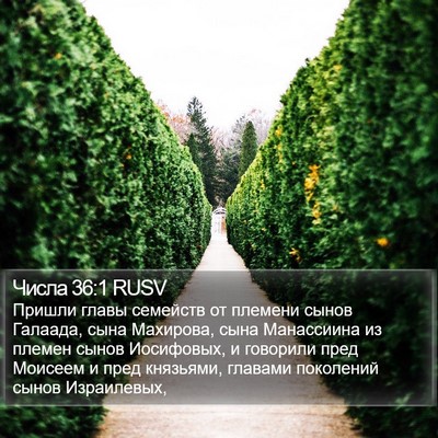 Числа 36:1 RUSV Bible Verse Image