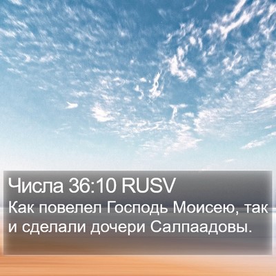 Числа 36:10 RUSV Bible Verse Image
