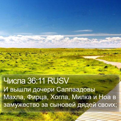Числа 36:11 RUSV Bible Verse Image