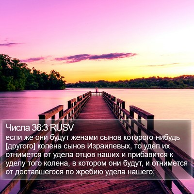 Числа 36:3 RUSV Bible Verse Image