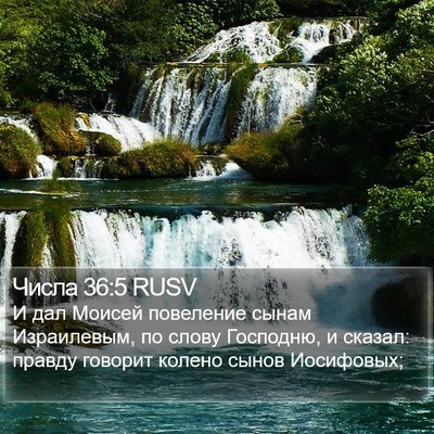 Числа 36:5 RUSV Bible Verse Image