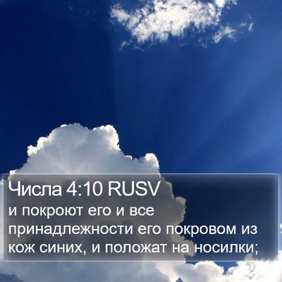 Числа 4:10 RUSV Bible Verse Image