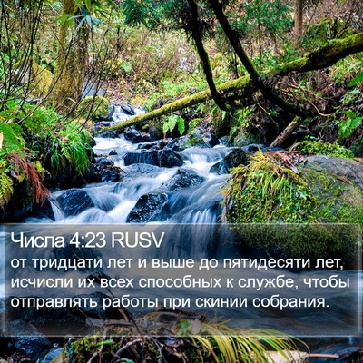 Числа 4:23 RUSV Bible Verse Image